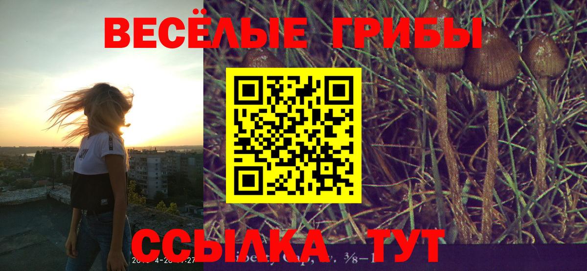 Галлюциногенные грибы ЛСД Чистополь