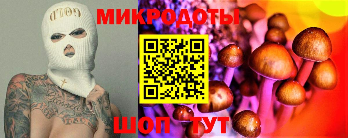 Чистополь  что такое   Вход с VPN  Псилоцибиновые грибы GOLDEN TEACHER  Псилоцибиновые грибы прущие грибы 